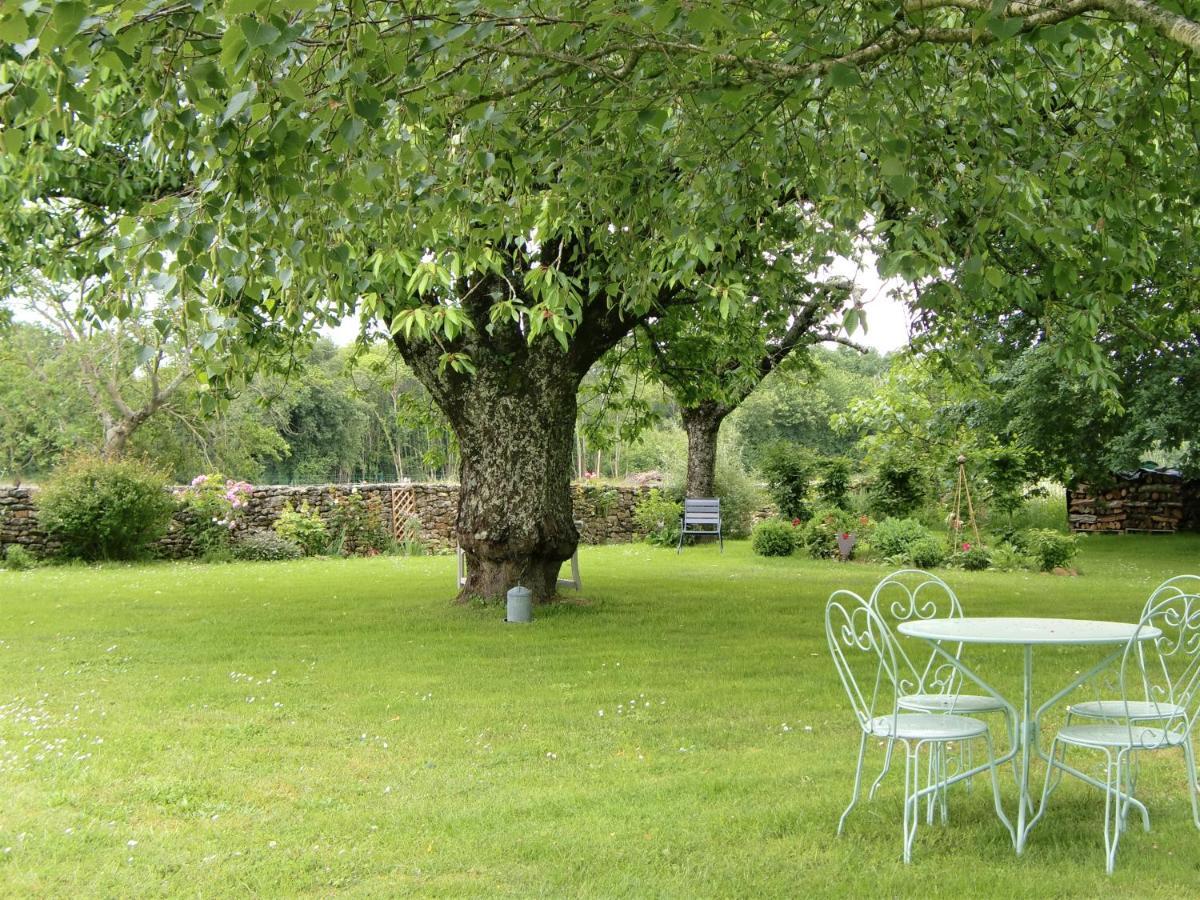 Bed and Breakfast Du Côté de l'Ombrière Geay  Exterior foto